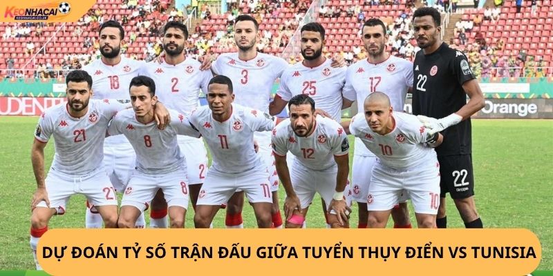 Nhận Định, Soi Kèo Thụy Điển vs Tunisia